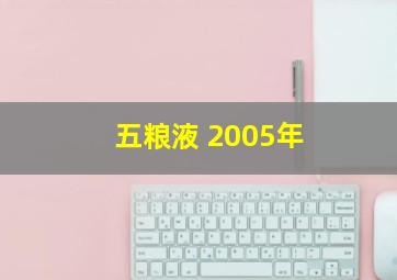 五粮液 2005年